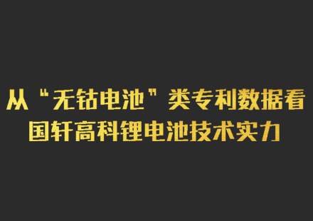 從“無(wú)鈷電池”類(lèi)專(zhuān)利數(shù)據(jù)看國(guó)軒高科鋰電池技術(shù)實(shí)力