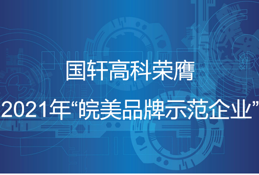 國(guó)軒高科榮膺2021年“皖美品牌示范企業(yè)”